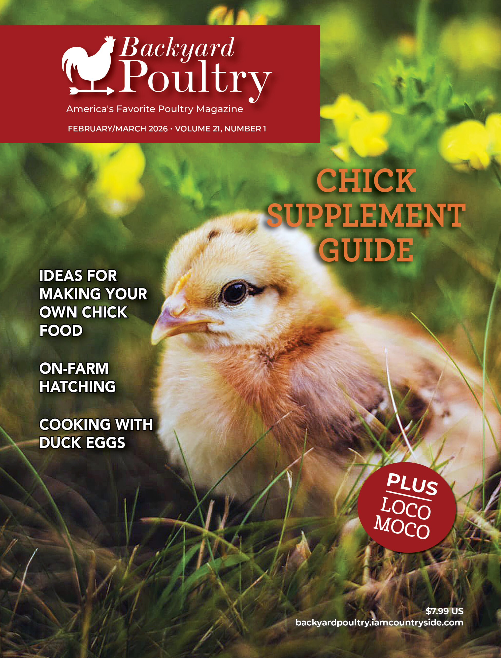 Backyard Poultry — February/March 2026